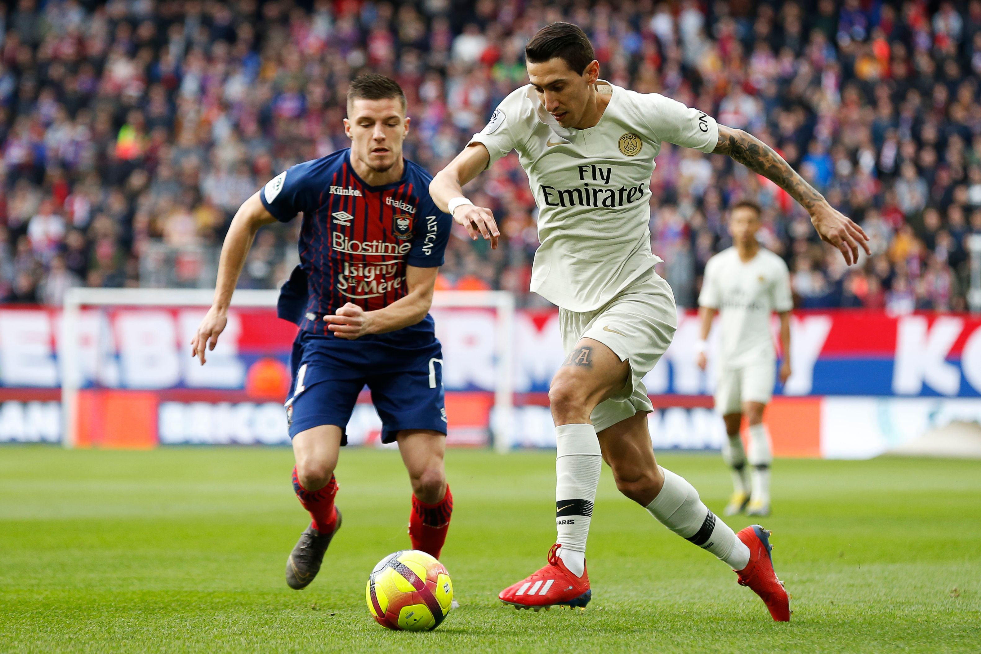 野需要更早 野需要更早