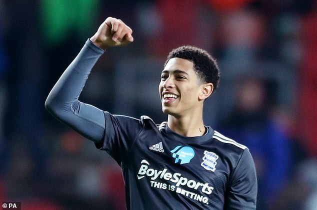 透明报告接 透明报告接